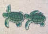 sea-turtles.jpg (23244 bytes)
